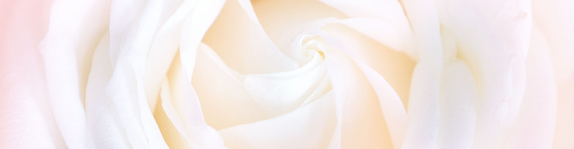 Bouquet di Fiori bianchi - Rosario Flowers & Gifts Boutique